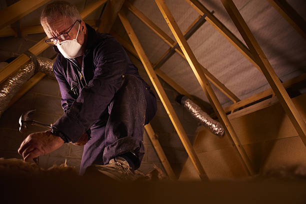 Best Insulation Installation Services in Winter Haven, FL